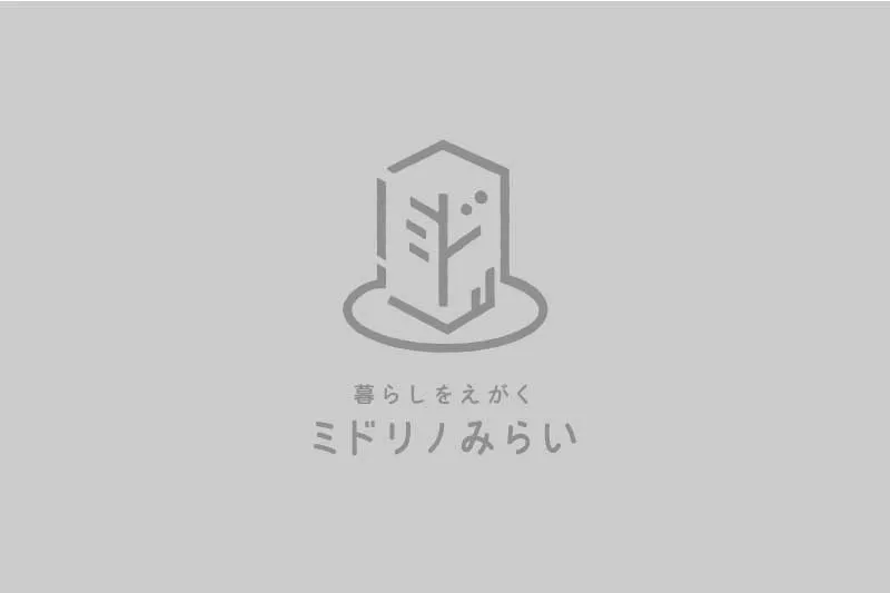 大凧通信 vol.1　　　　　　　　　　　小さな一歩と日々の関わりから、人がつながり、場所が育まれていく