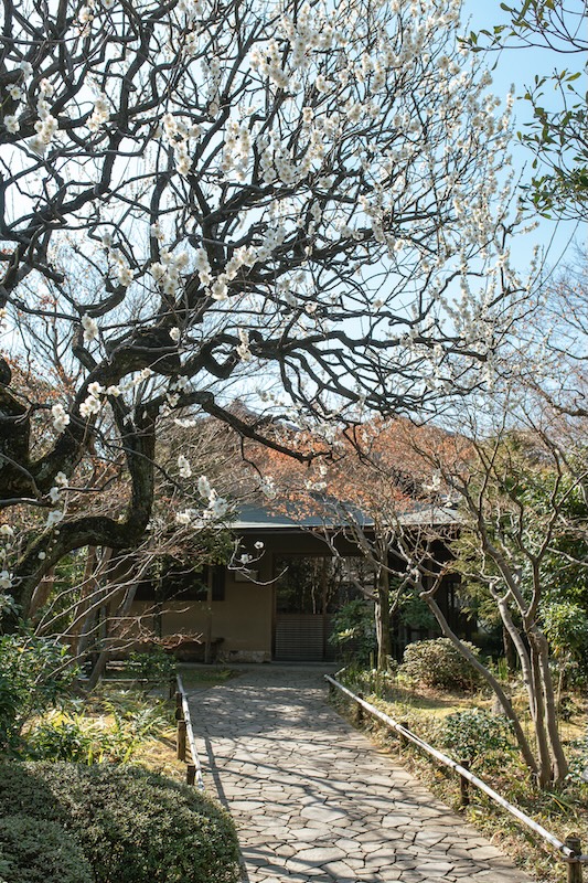 豊島区立目白庭園　指定管理3