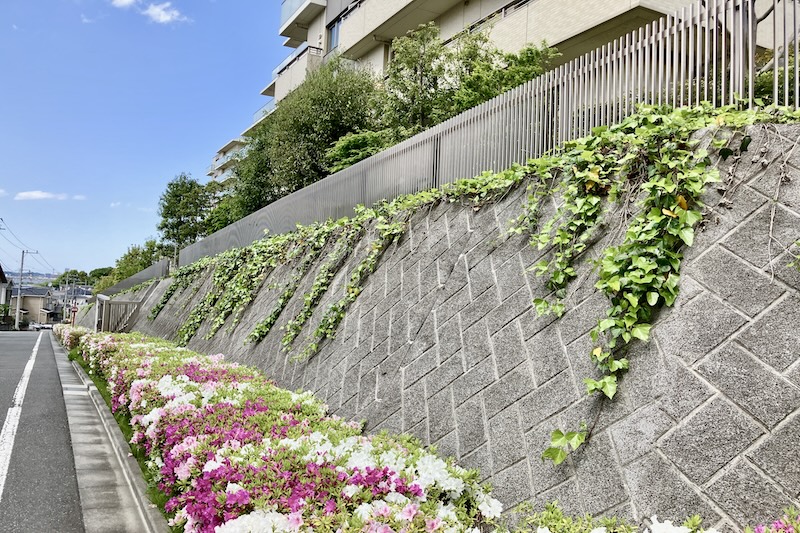 プラウドシティ南山　植栽管理2
