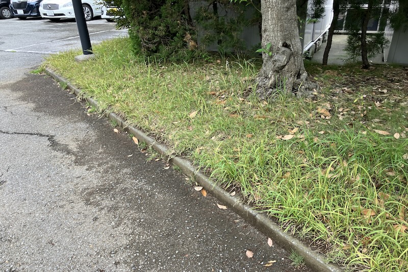 雑草マネジメント（植栽管理費の有効活用①）4