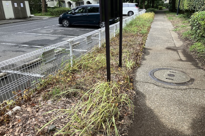 雑草マネジメント（植栽管理費の有効活用①）2