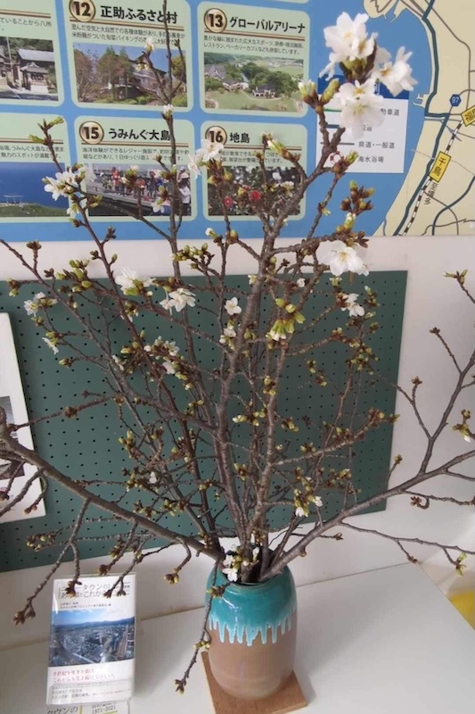 切り花で繋がりのきっかけ作り（アジサイやサクラなど）5